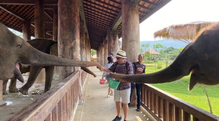 🐘 Half-Day 🛁 Elephant Bathing + Cave Exploration + Hmong Village Visit