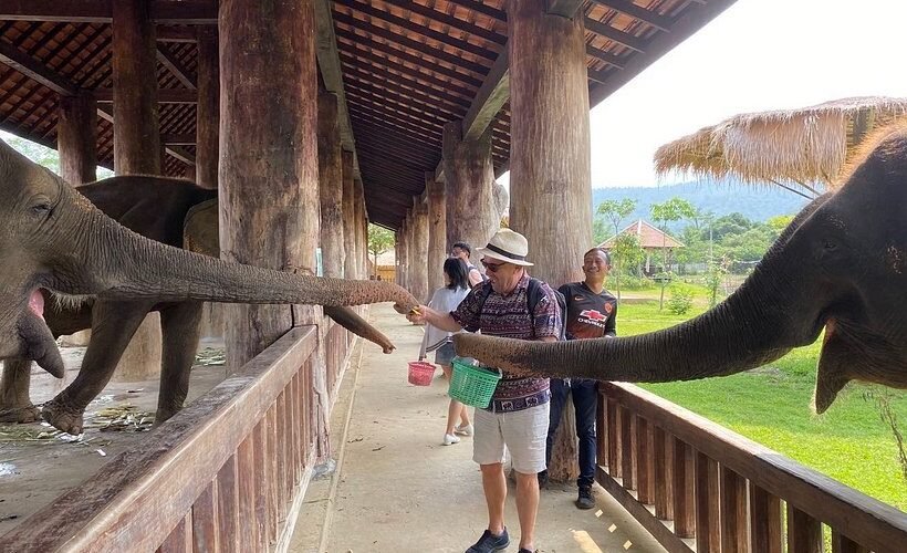 🐘 Half-Day 🛁 Elephant Bathing + Cave Exploration + Hmong Village Visit